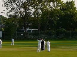 Image result for Park Hill Cricket Club