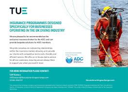 Image result for Dive Solutions, London