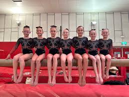 Image result for Notts Gymnastics Club