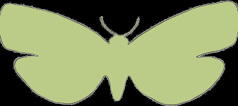 Attēlu rezultāti vaicājumam “Epiblema grandaevana”