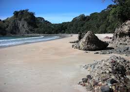 Image result for new chums beach