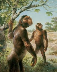 Image result for lucy