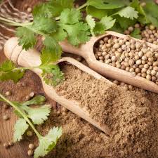 Image result for Koriander