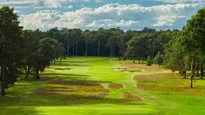 Image result for Guildford Gold Club