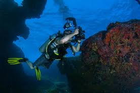 Image result for Blue Water Diving