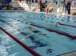 Image result for Trowbridge Swimming Club