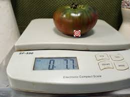 Afbeeldingsresultaat voor black elephant tomato