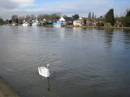 Image result for Walton On Thames Angling