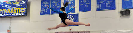 Image result for Border Counties School Of Gymnastics