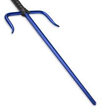 Image result for Sai Martial Arts