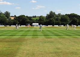 Image result for Woolpit Cricket Club
