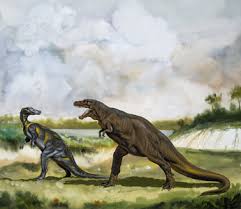 Image result for Imagini tehron