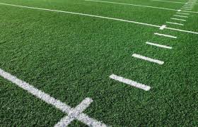 Image result for Astroturf