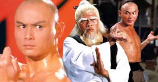 Image result for kung fu