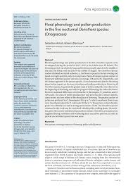 Attēlu rezultāti vaicājumam “Oenothera rubricauli flower”