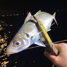 Image result for ﾃ｣ﾂδ ｣ﾂつ｣ﾃ｣ﾂδｳﾃ｣ﾂδ療｣ﾂδｫﾃ｣ﾂつｭﾃ｣ﾂδｼ