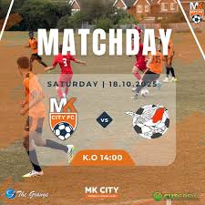 Image result for Milton Keynes Village Community Sports Club