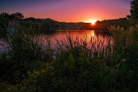 Image result for sunset