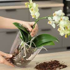 Image result for Конфетти d-23 Кашпо 2109020759412