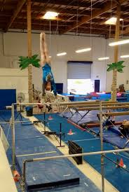 Image result for Focus Institute of Gymnastics