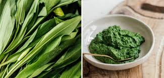 Image result for Bärlauch