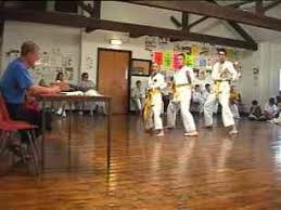 Image result for Konjaku Shin National School Of Karate, Lincolnshire