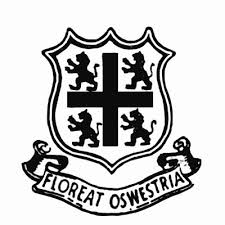 Image result for Ifield Cricket Club