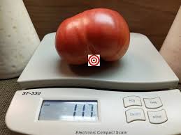 Afbeeldingsresultaat voor butter and bull heart tomato