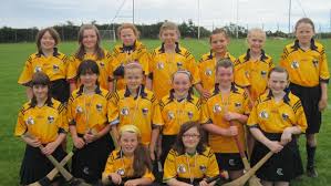 Image result for An Riocht Gaa Club