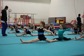 Image result for Hawth Gymnastics, Crawley