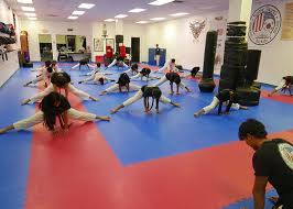 Image result for Turners Tae Kwon Do