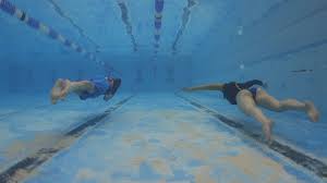 Image result for Notanx Freedive Club