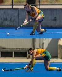 Image result for West Coast Wasps Skater Hockey Club