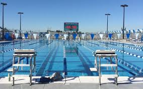 Image result for Derby Phoenix Swimming Club