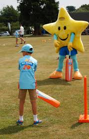 Image result for Yoxford Cricket Club