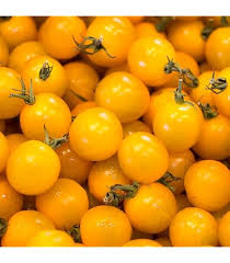 Afbeeldingsresultaat voor kosmonaut volkov 68D tomato