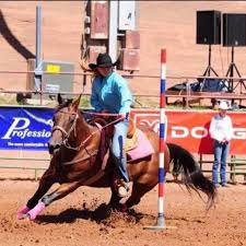 Image result for Fisher Equestrian