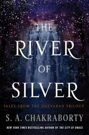 Image result for silver sa