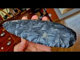 Image result for feuille-laurier-silex