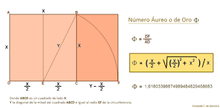 Image result for numero aureo