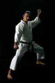 Image result for Budo Warrior Schools