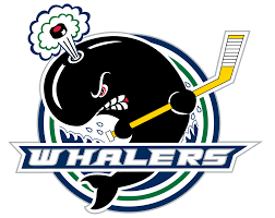 Image result for Plymouth Underwater Hockey Club