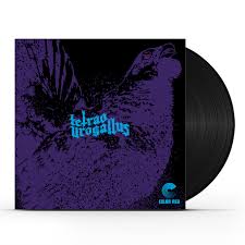 Attēlu rezultāti vaicājumam “Tetrao urogallus”