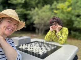 Image result for Wandering Dragons Chess Club