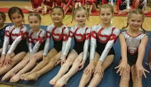 Image result for Stockport School Of Gymnastics