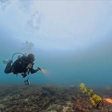 Image result for Leicester Underwater Exploration Club