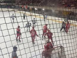 Image result for Swindon Panthers