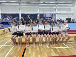 Image result for Harrow School Of Gymnastics