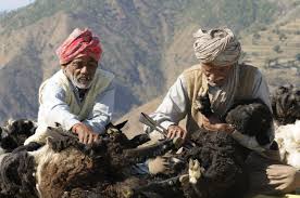 Image result for The Nomads R.H.C.