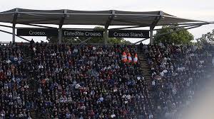 Image result for Pembroke Dock Harlequins RFC